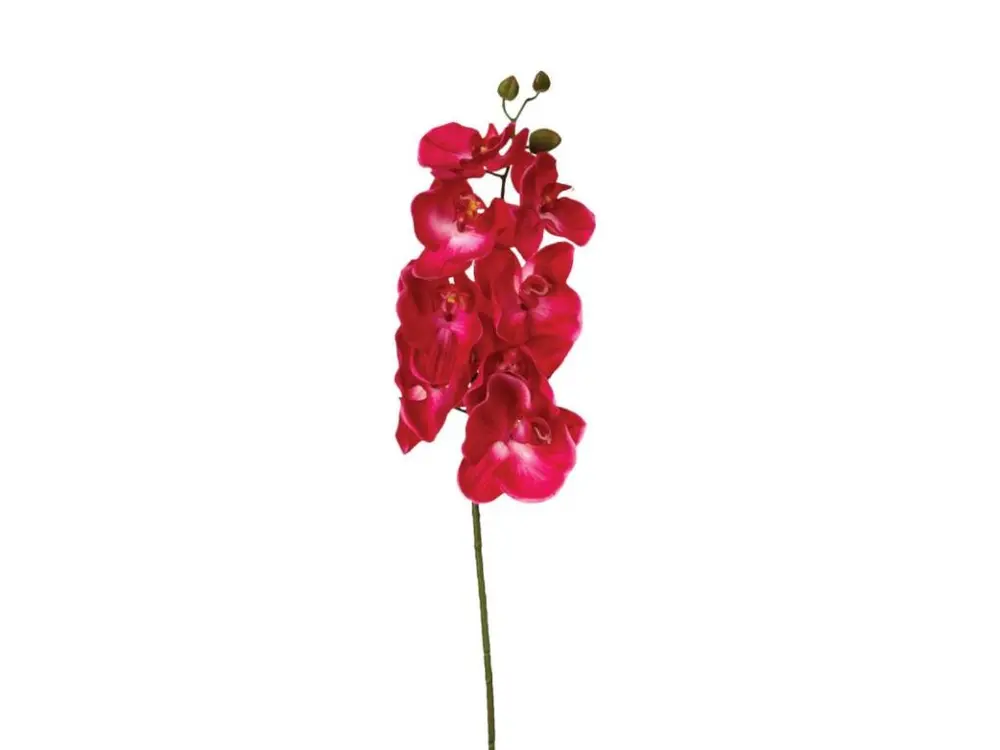 Fleur Artificielle Orchidée 108cm Rose