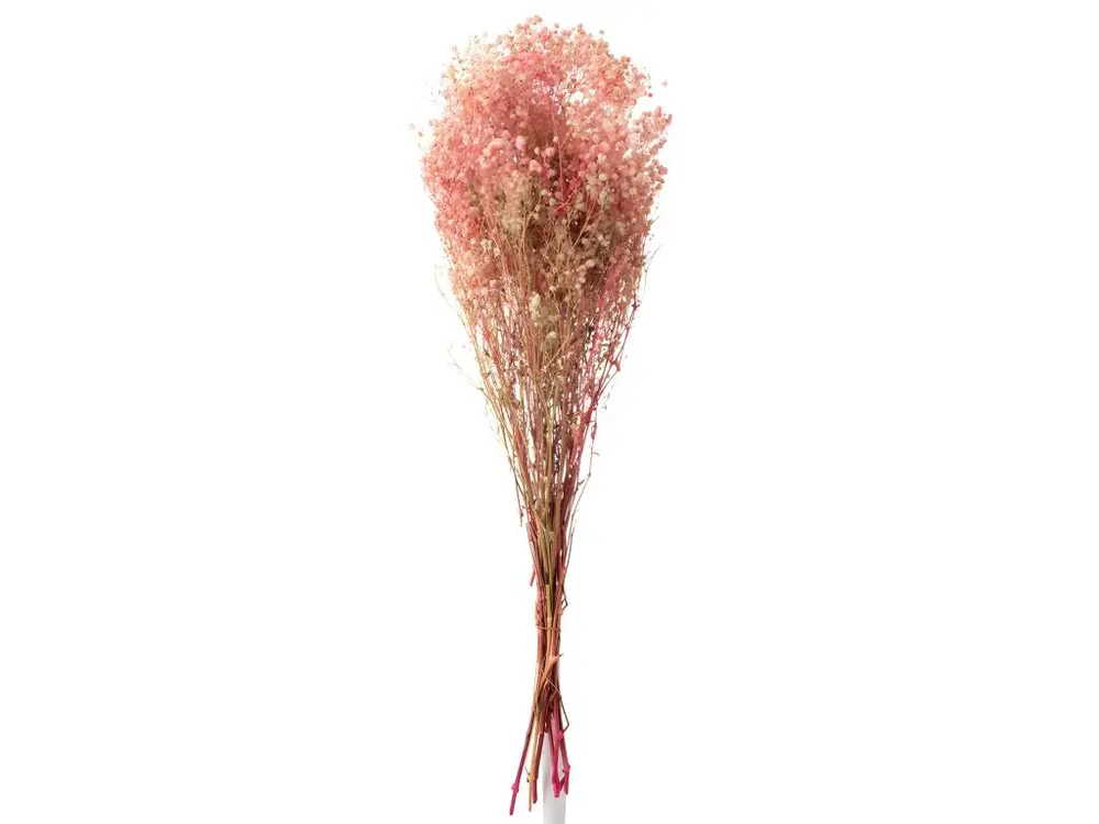 Bouquet de Fleurs "Gypsophile Séché" 84cm Rose