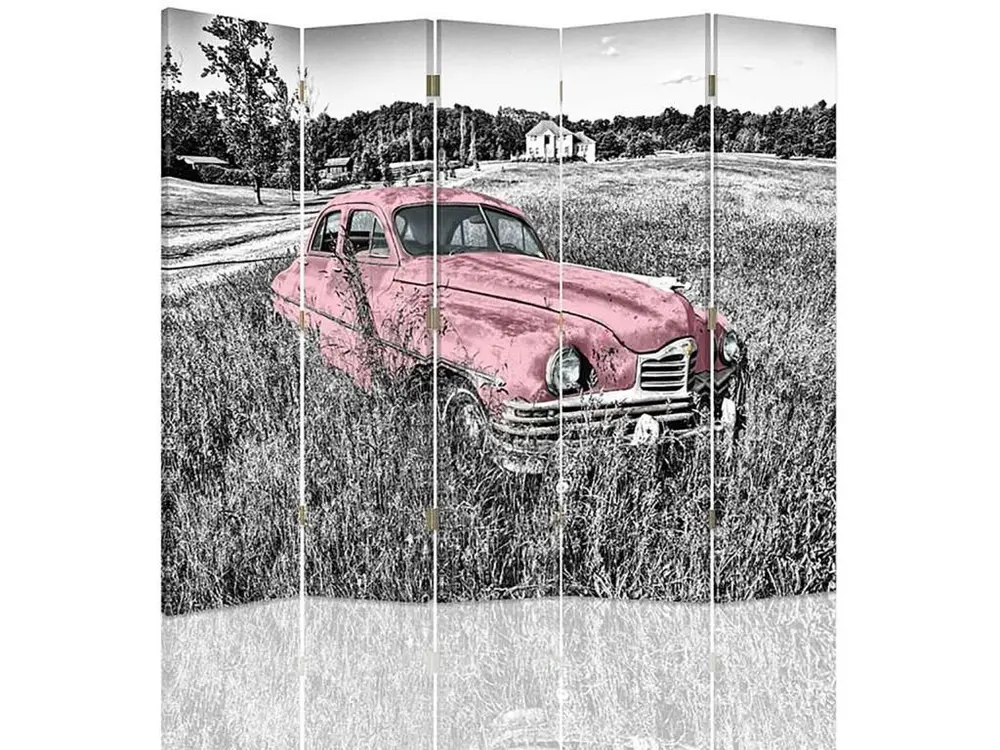 Paravent voiture rose dans un champ 5 volets - 180 x 180 cm - 2 faces R° V°