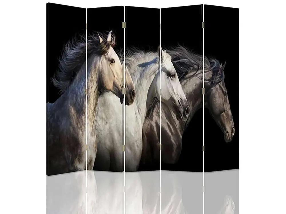 Paravent trois chevaux 5 volets - 180 x 180 cm - 1 face déco, 1 face noir