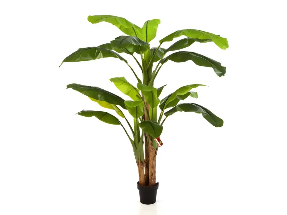 Bananier en pot artificiel 3 Troncs H 240 cm Vert - choisissez votre hauteur: H 240 cm - couleur: Vert