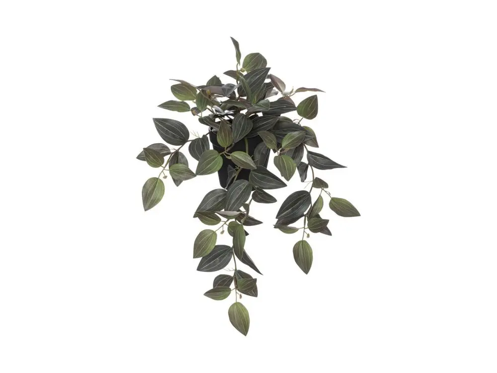 Plante artificielle Tradescantia bicolore H 45 cm