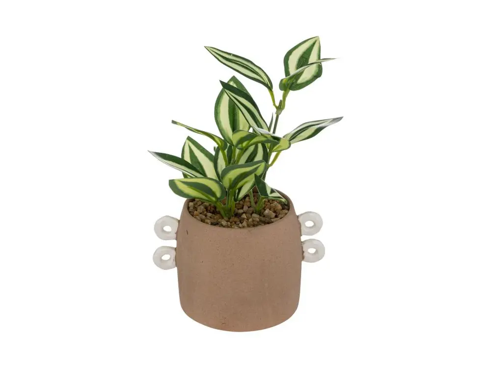 Plante artificielle pot en Céramique Cannelle H 21 cm