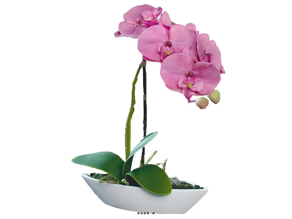 Orchidée factice tissu gaufré pot Résine Blanc ovale H 28 cm Rose-crème - couleur: Rose-crème