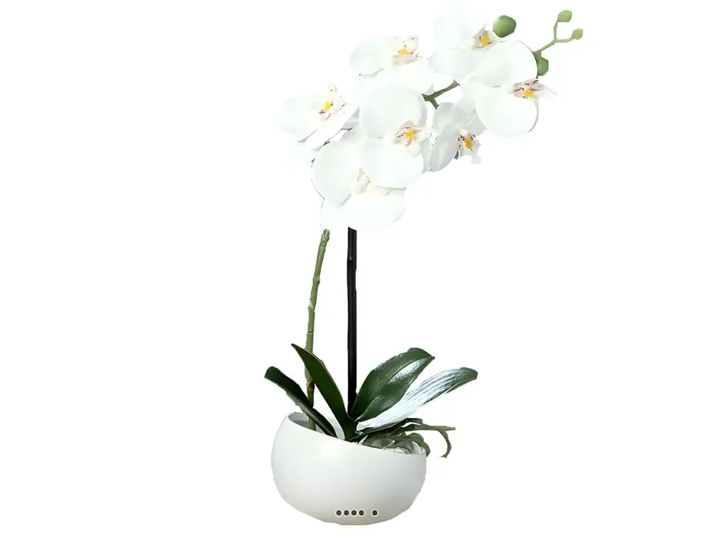 Orchidée factice 1 hampe coupe céramique H40cm touché réel Blanc neige - couleur: Blanc neige