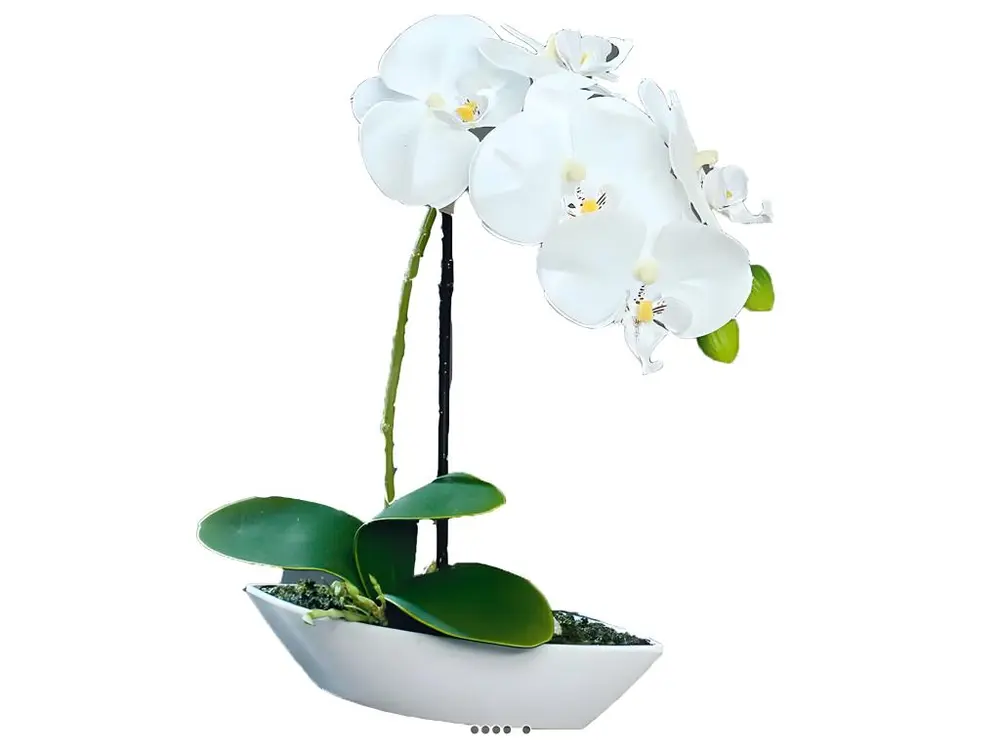 Orchidée factice tissu gaufré pot Résine Blanc ovale H28cm Crème - couleur: Crème