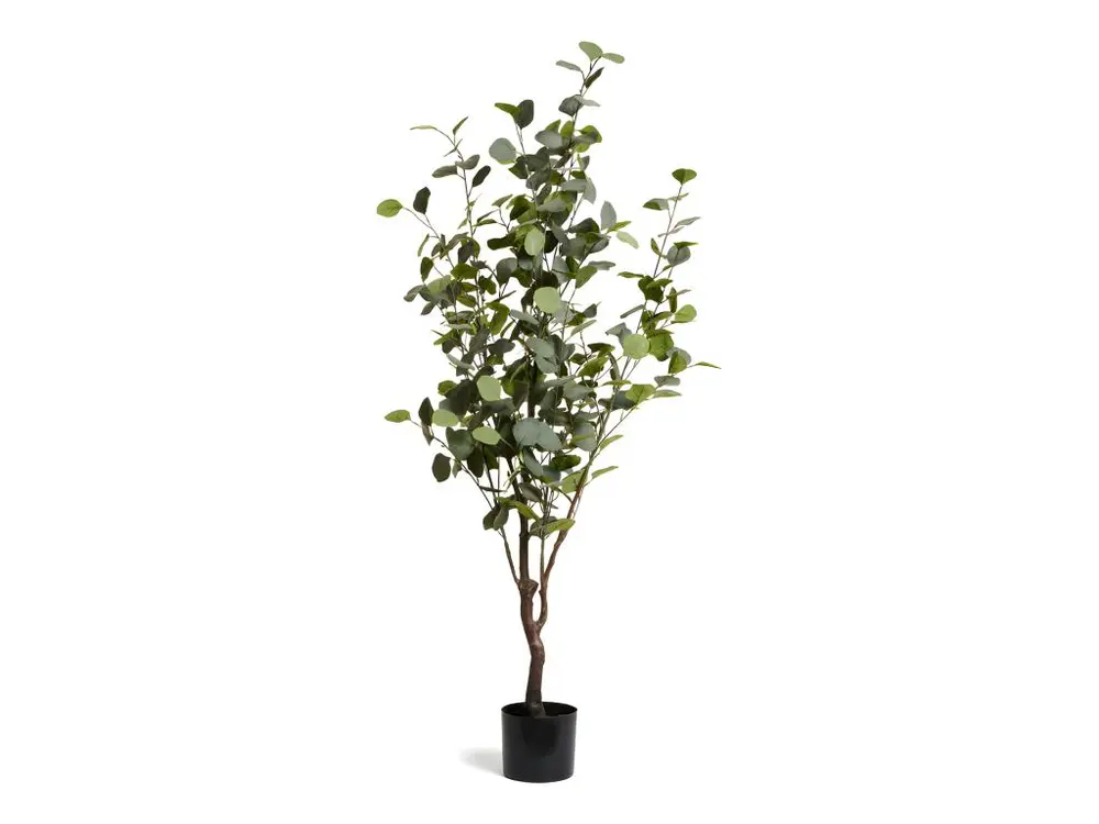 Plante artificielle avec pot - Eucalyptus - H. 150 cm