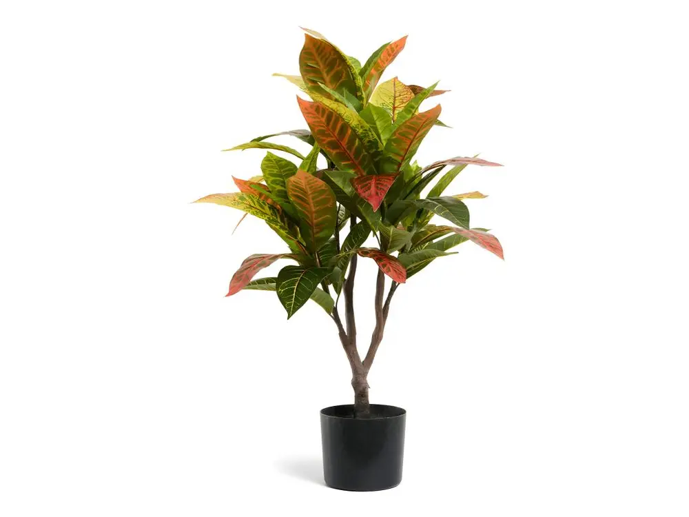 Plante artificielle avec pot - Croton - H. 75 cm