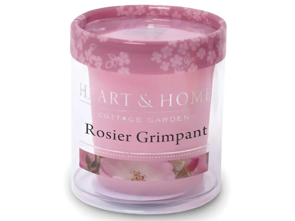 Petite bougie heart and home rosier grimpant