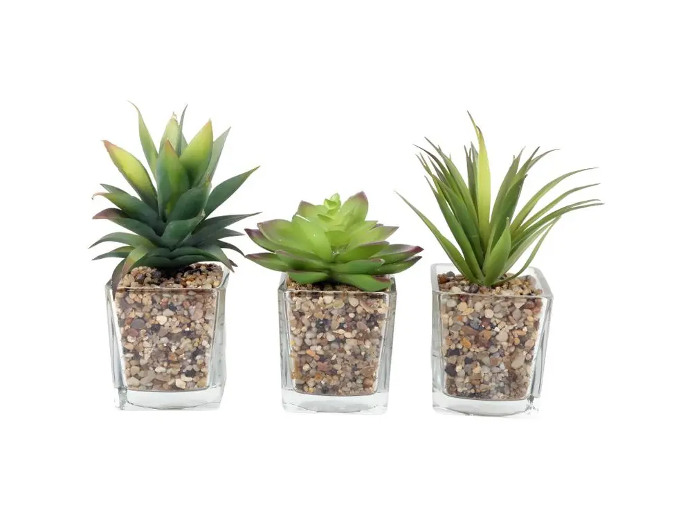 Plantes artificielles dans pot en verre 6.5 x 6.5 x 17 cm (Lot de 3)