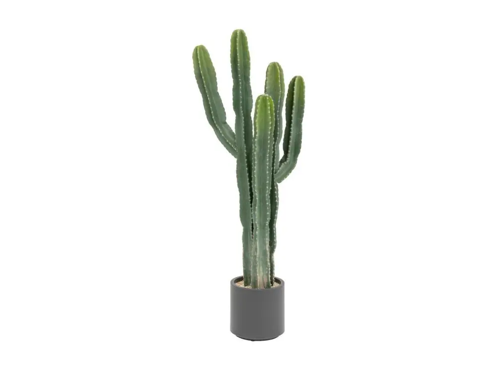 Plante artificielle Cactus Euphorbe en pot H 117 cm