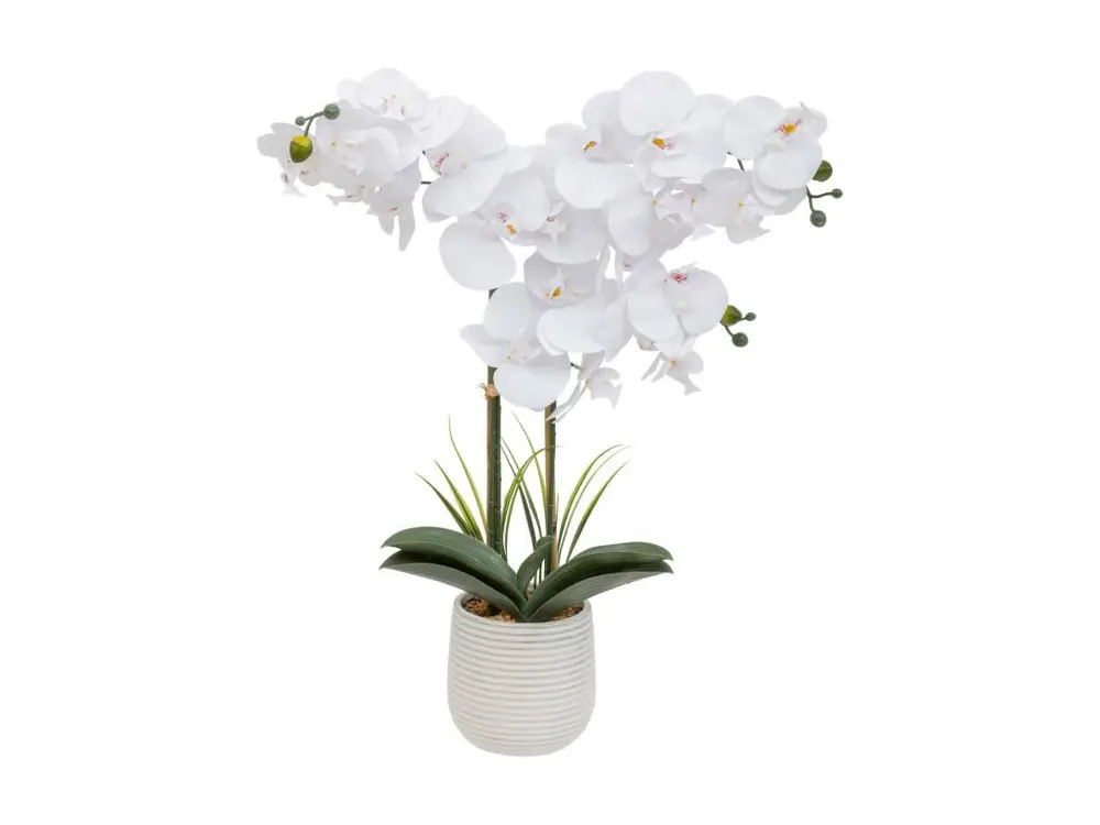 Plante artificielle Orchidée Blanche pot en céramique striée H 65 cm