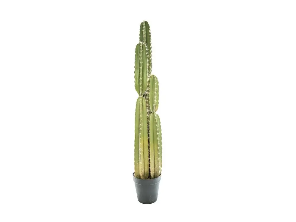 Plante artificielle Cactus Pin dans son pot H 185 cm