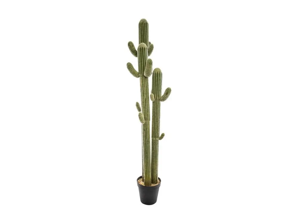 Plante artificielle Cactus 3 Troncs dans son pot H 203 cm