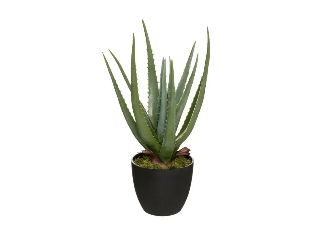 Plante artificielle Aloe Vera en pot H 42 cm