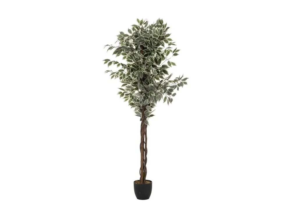 Plante artificielle Ficus en pot H 180 cm