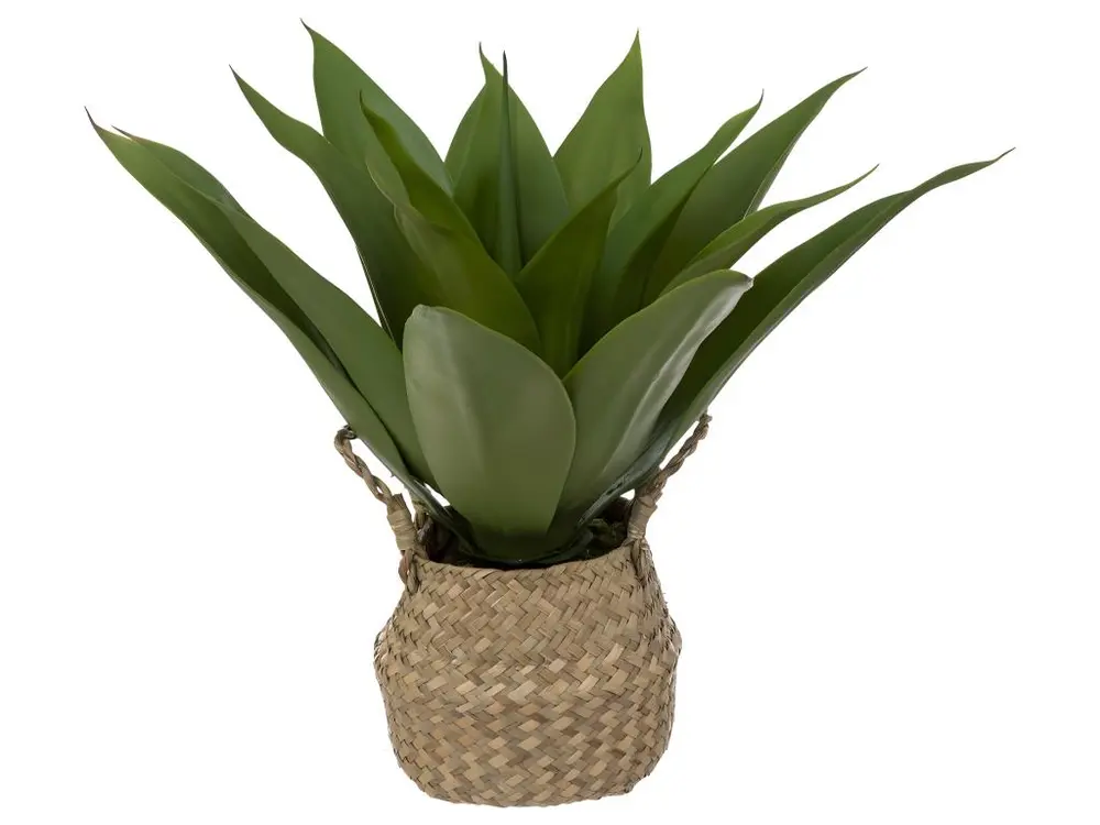 Plante artificielle Agave dans Pot en Roseau H 48 cm