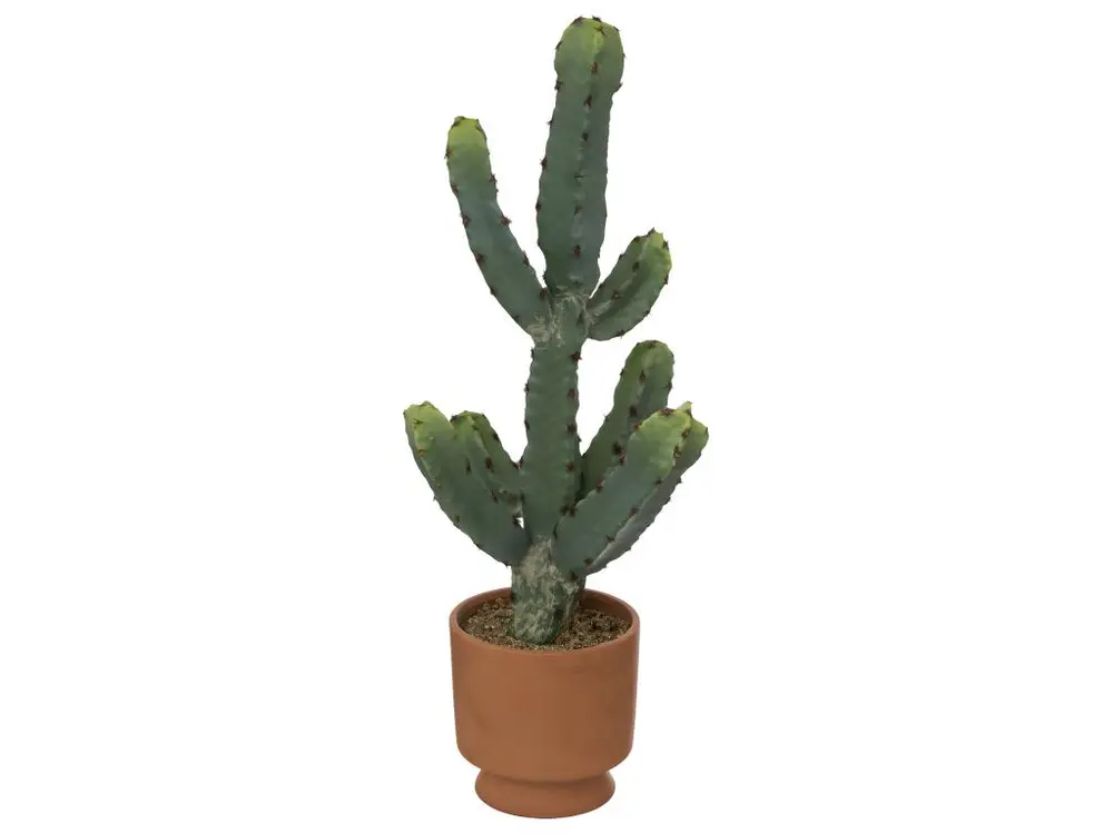 Plante artificielle Cactus dans Pot en Terre cuite H 49 cm