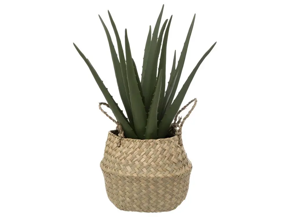 Plante artificielle Aloe vera dans Pot en Roseau H 37 cm