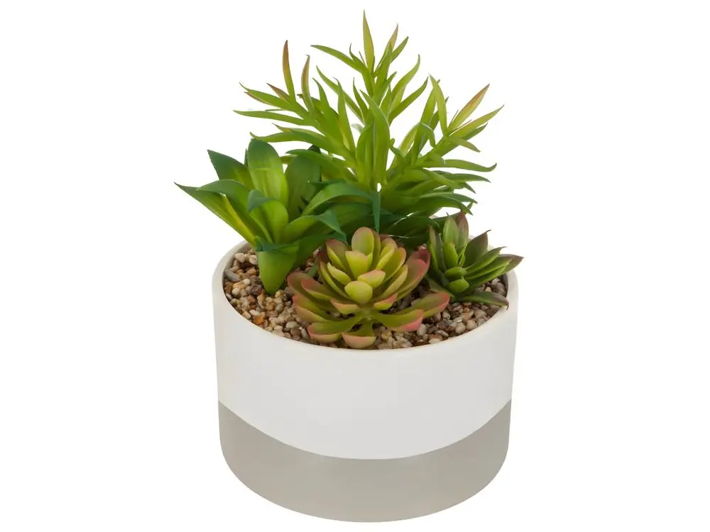 Plante artificielle Pot céramique bicolore D 20 cm