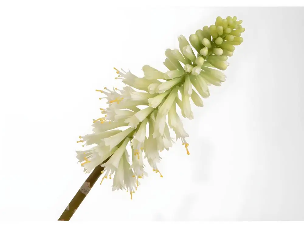 Fleur artificielle Kniphofia jade 71 cm blanc