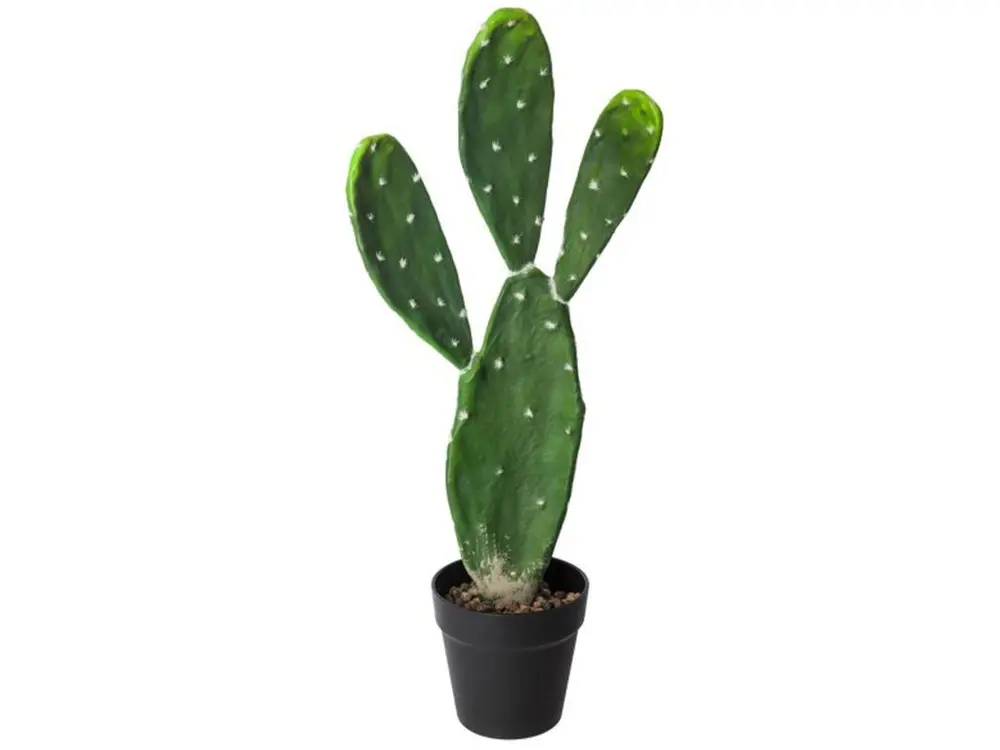 Plante artificielle cactus en polyéthylène, vert - Hauteur : 60 cm