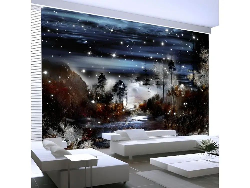 Papier peint intissé Fantaisie Nuit dans la foret : Taille - 200 x 140 cm