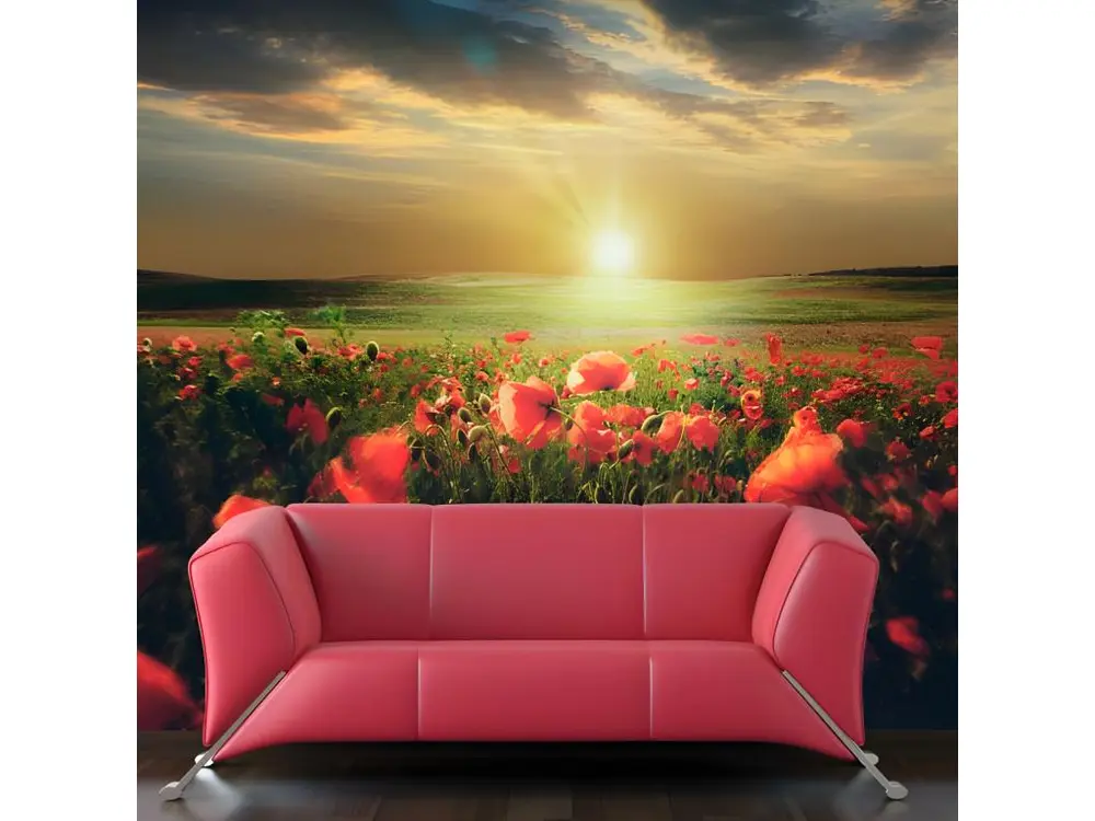 Papier peint intissé Fleurs Morning on the poppy meadow : Taille - 350 x 270 cm