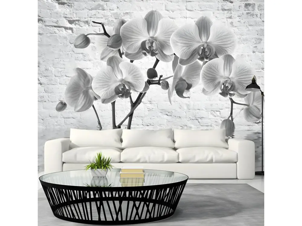 Papier Peint "Orchid in Shades of Gray" 70 x 100 cm