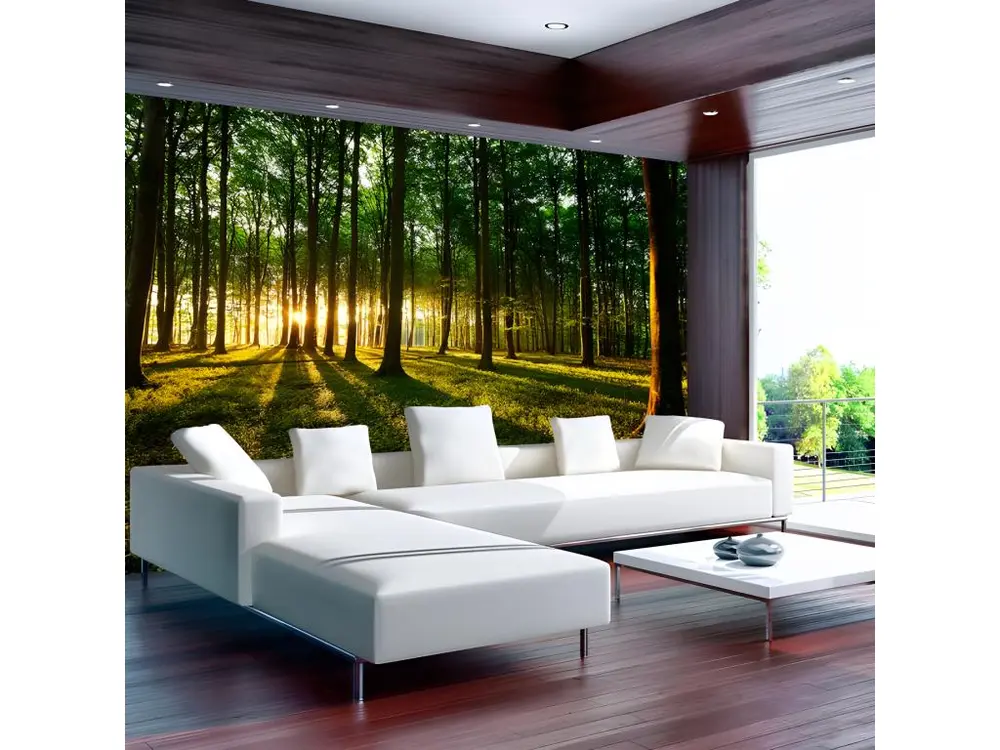 Papier peint intissé Paysages Spring: Morning in the Forest : Taille - 400 x 280 cm