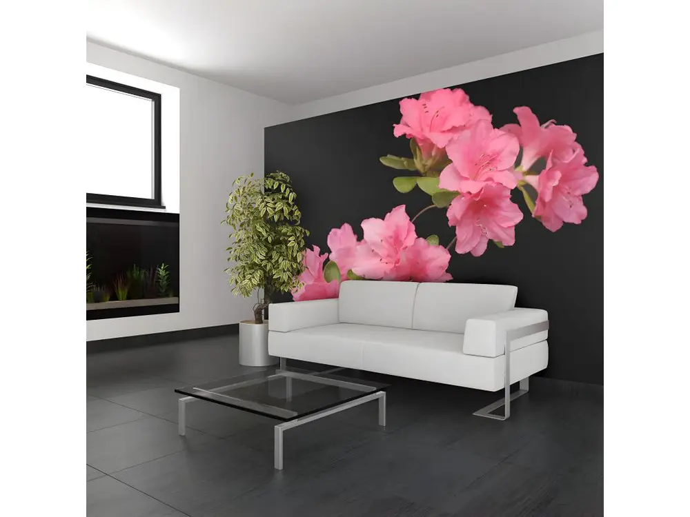 Papier peint intissé Fleurs Azalea in Black : Taille - 300 x 231 cm