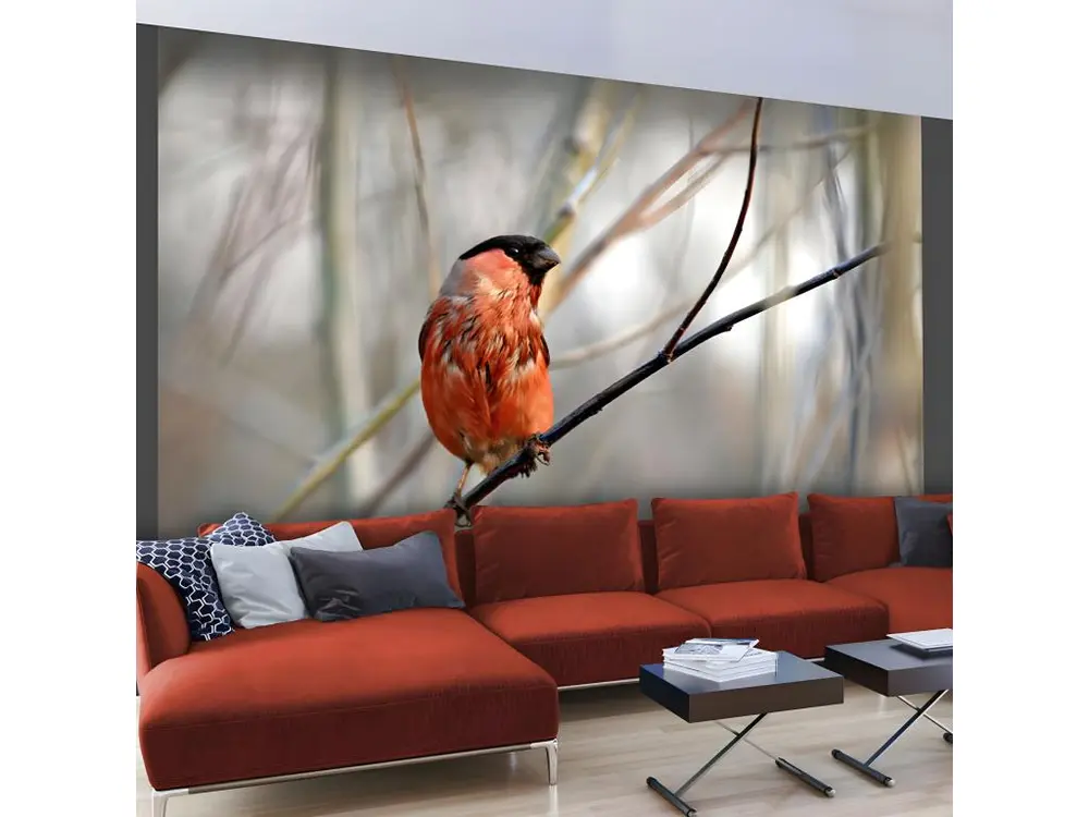 Papier peint intissé Animaux Bullfinch in the forest : Taille - 200 x 154 cm