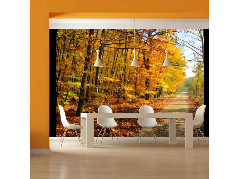 Papier peint intissé Paysages Beech forest : Taille - 350 x 270 cm