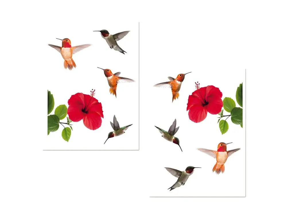 Adhésifs de vitres Hibiscus et colibris