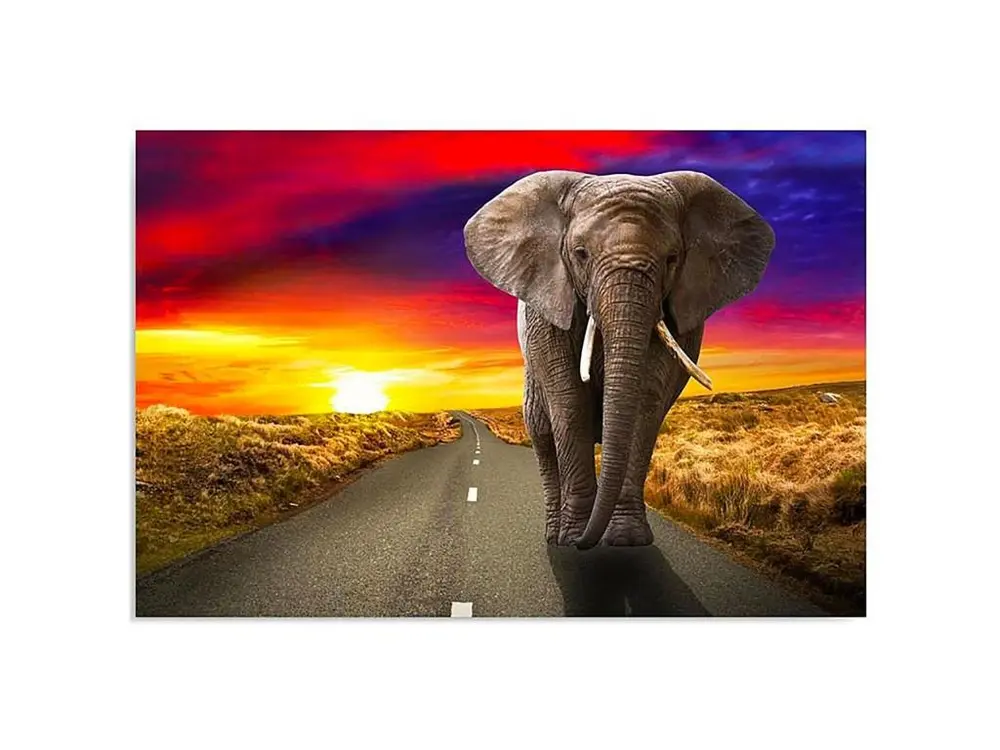 Tableau l'éléphant sur l'autoroute - 80 x 60 cm