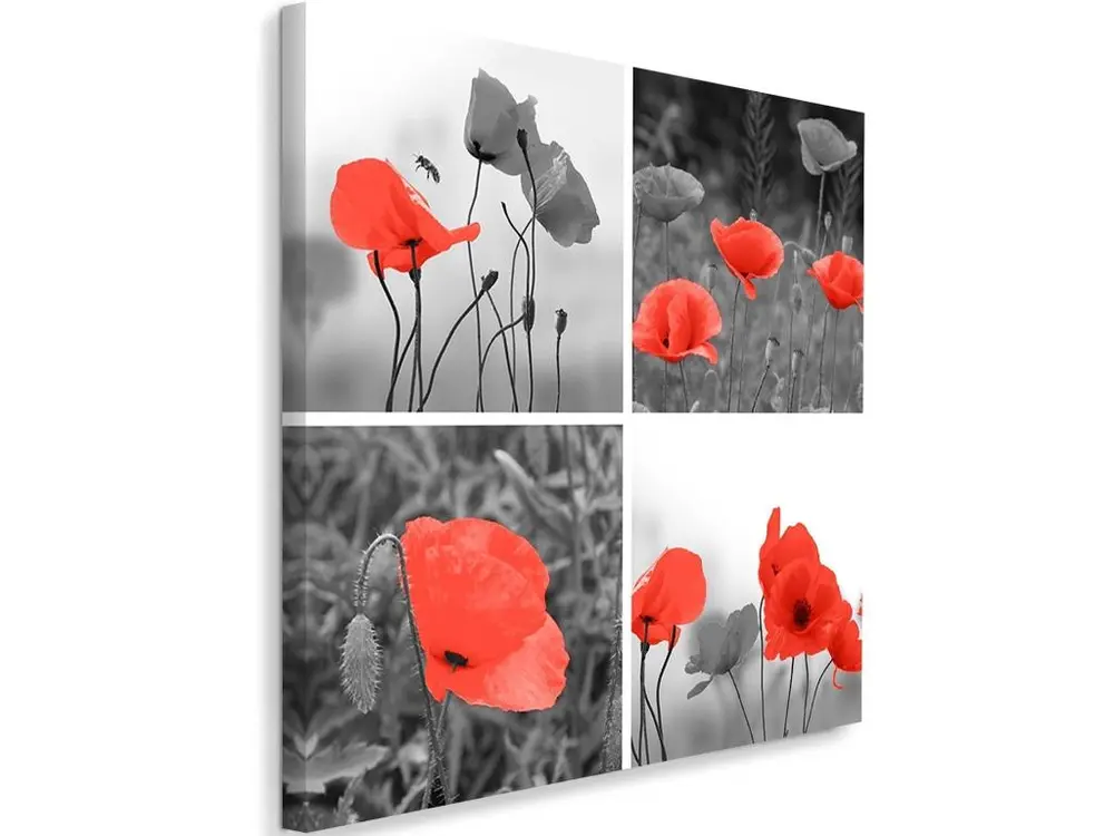 Tableau un ensemble de coquelicots rouges - 60 x 60 cm