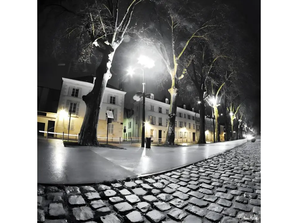 Tableau sur toile lampadaire quai du châtelet 45x45 cm