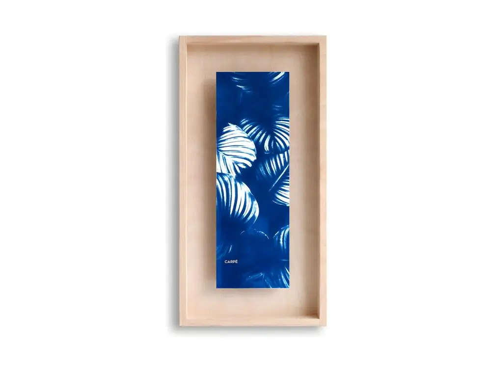 Cadre Carpë cyanotype Calathea 40x20cm Bleu Swabdesign