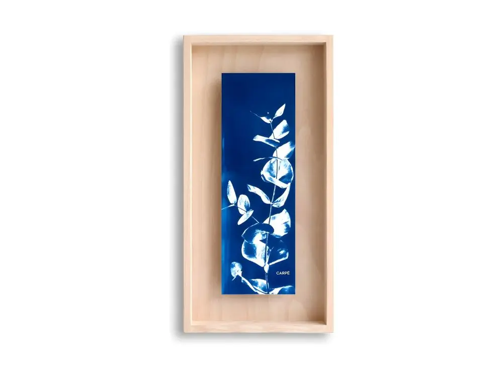 Cadre Carpë cyanotype Eucalytus 40x20cm Bleu Swabdesign