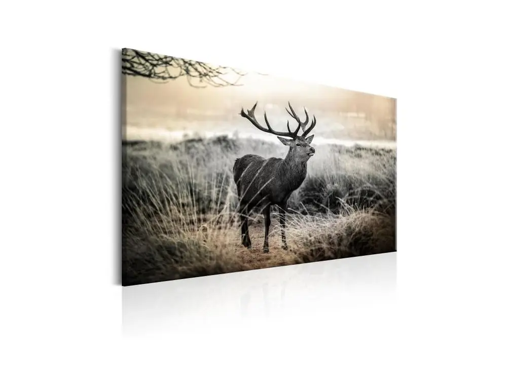 Tableau Dangerous Horns : Taille - 120 x 80 cm