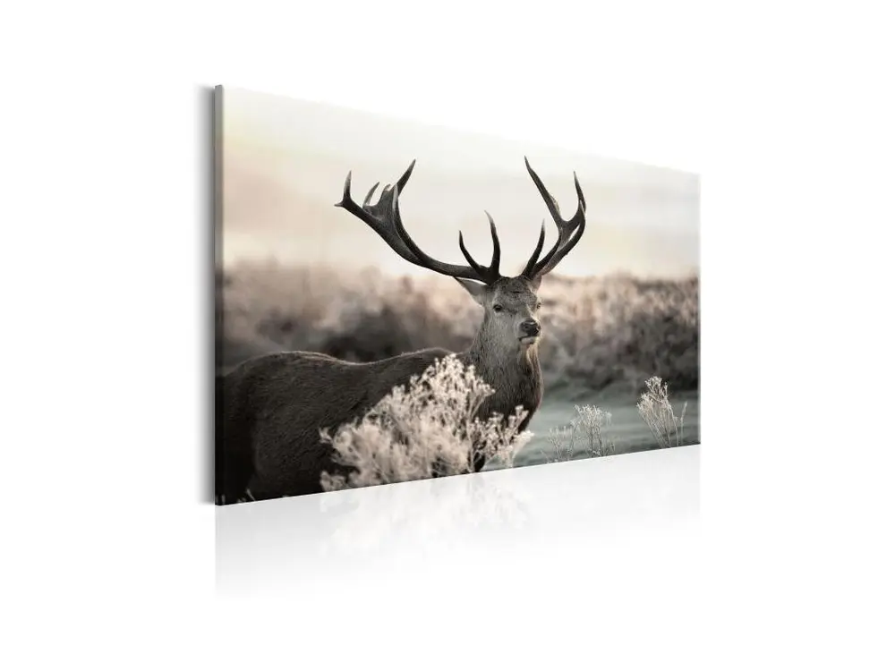 Tableau Powerful Horns : Taille - 120 x 80 cm