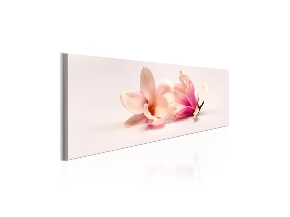 Tableau Fleurs Beautiful Magnolias : Taille - 150 x 50 cm