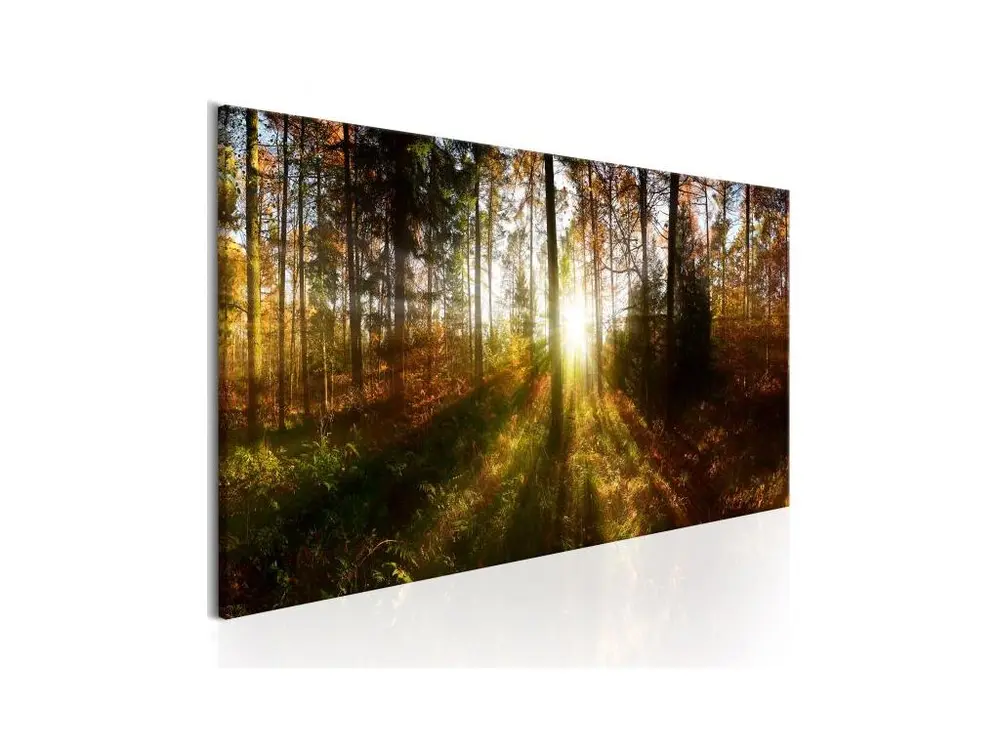 Tableau Beautiful Forest : Taille - 150 x 50 cm