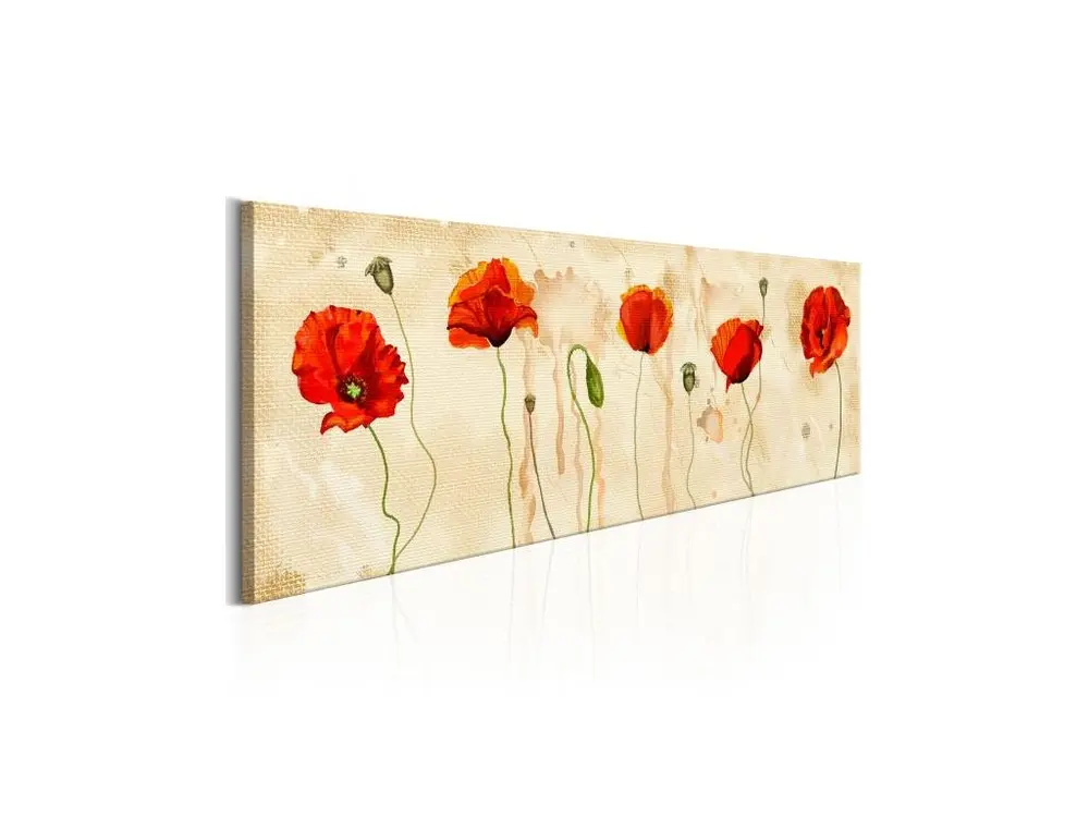 Tableau Fleurs Tears of Poppies : Taille - 135 x 45 cm