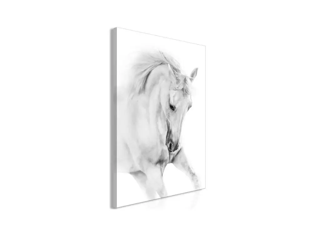 Tableau White Horse 1 Pièce Vertical : Taille - 40 x 60 cm