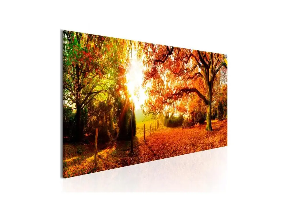 Tableau Magic of Autumn : Taille - 120 x 40 cm