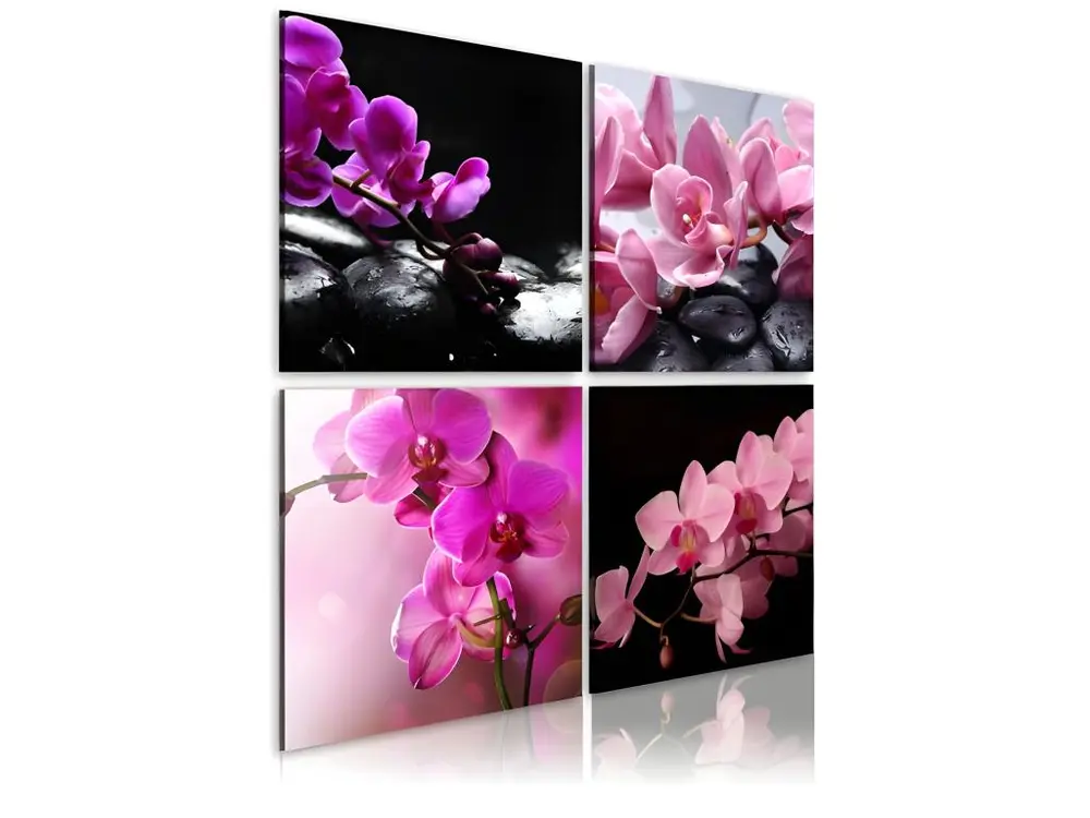 Tableau Fleurs Orchidées plus belles que jamais : Taille - 40 x 40 cm