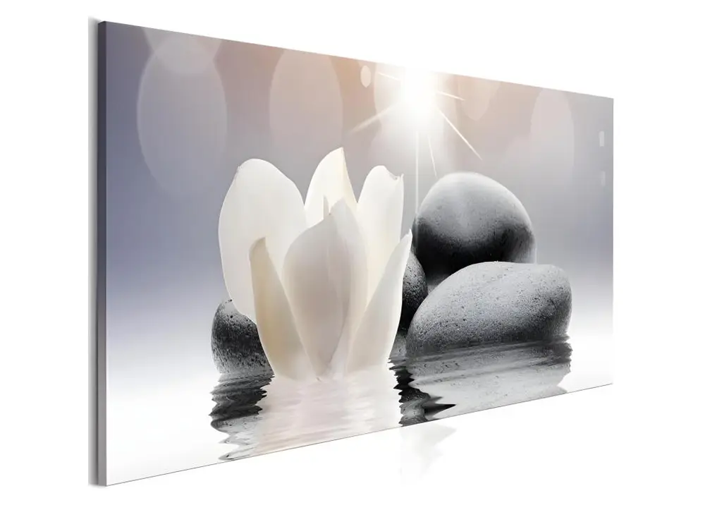 Tableau Zen Pebbles in Water (1 Part) Narrow : Taille - 135 x 45 cm