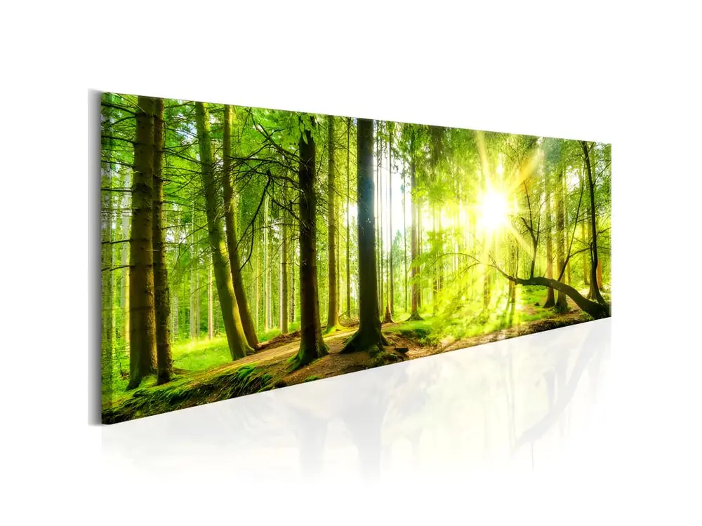 Tableau Majestic Trees : Taille - 120 x 40 cm