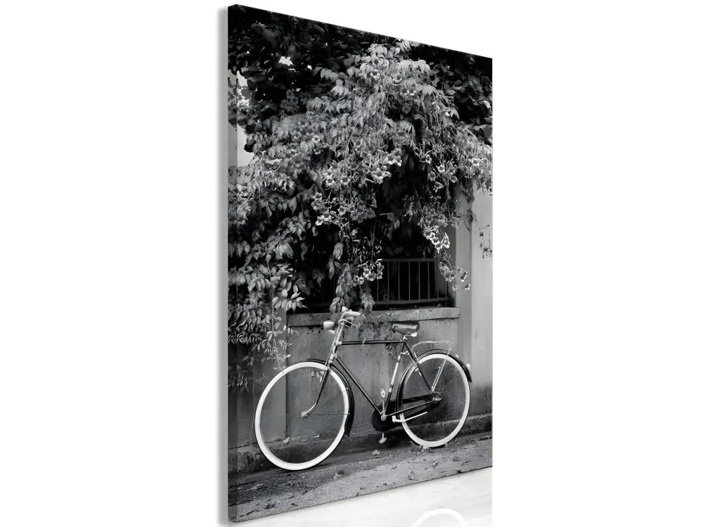 Tableau Vintage Bicycle and Flowers (1 Part) Vertical : Taille - 80 x 120 cm